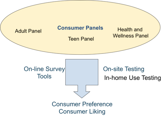 Consumer roadmap